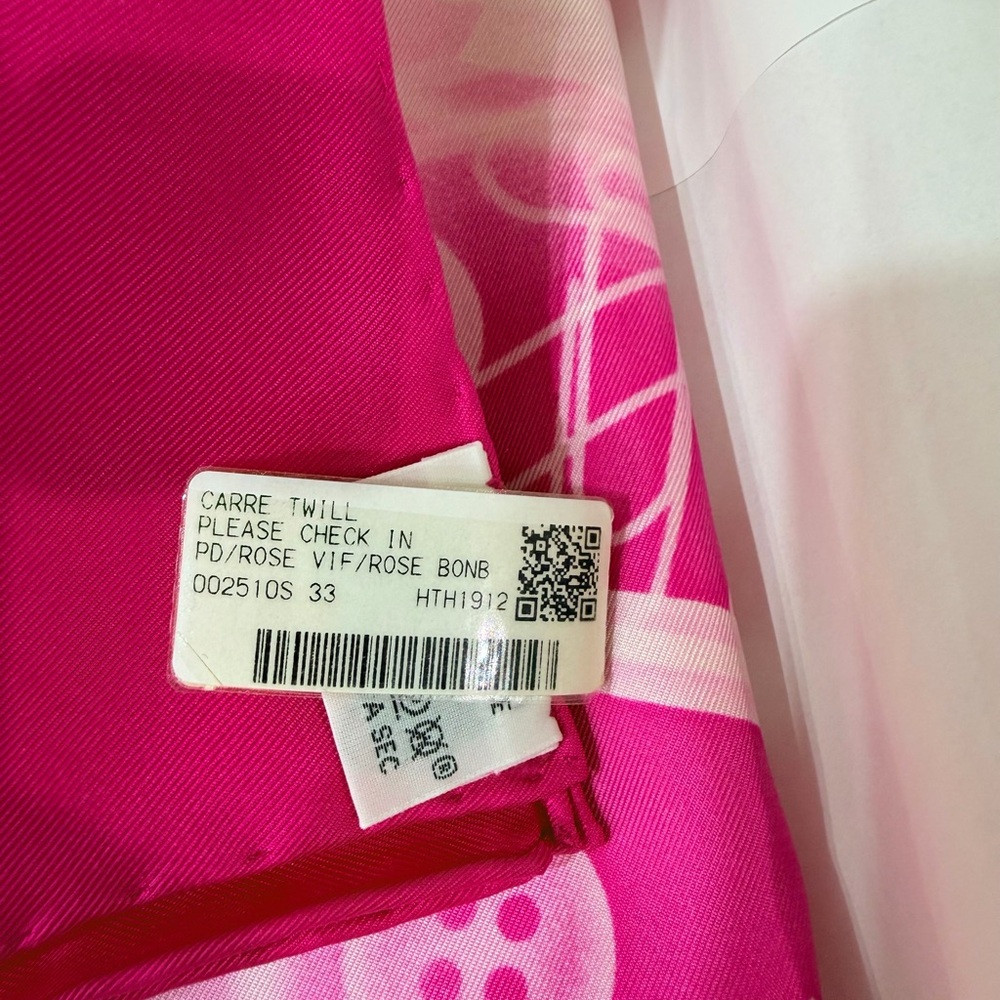 Hermes “Please Check In” - Dimitri Rybaltchenko Double Face Carrie 90 Silk Scarf - Picture 9 of 10